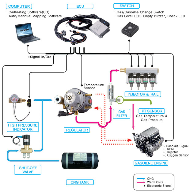 CNG Injection Kit 주식회사 다임코